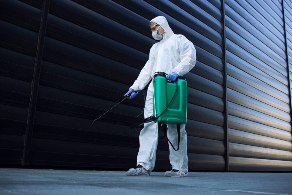 pest control company seo expert
