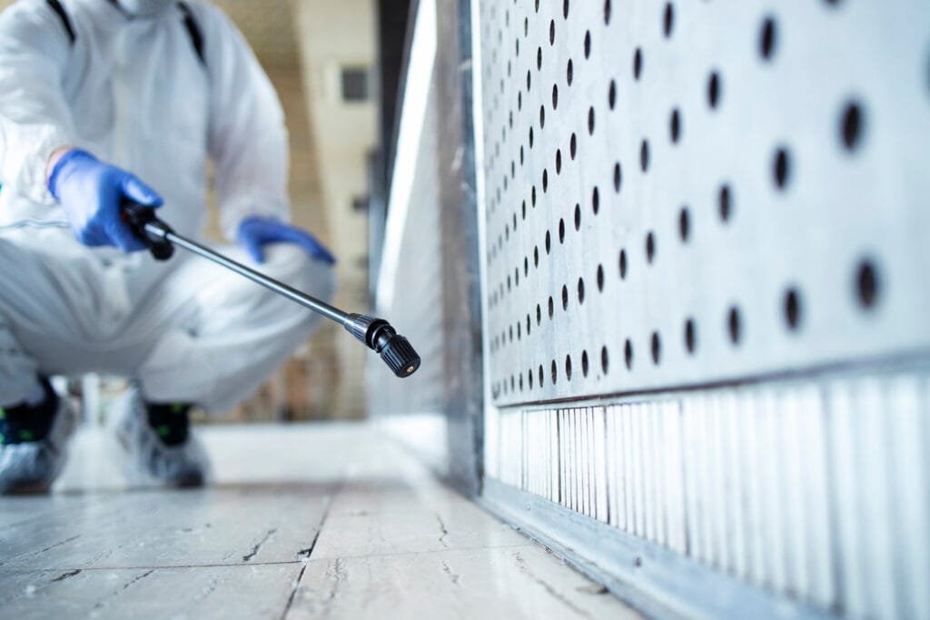 pest control seo