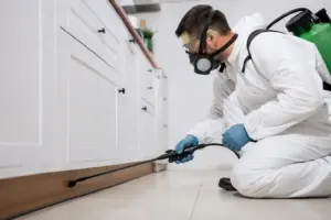 Professional pest control technician spraying pesticides indoors to eliminate pests and insects safely.